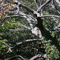 Photo de france - La randonnée de l'ancien refuge sur la colline